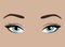 Female eyes with emotion. Look of the girl. Beautiful blue eyes with lashes and elegant eyebrows. Eyebrow tattoo