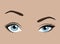 Female eyes with emotion. Look of the girl. Beautiful blue eyes with lashes and elegant eyebrows. Eyebrow tattoo. Facial