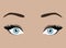 Female eyes with emotion. Look of the girl. Beautiful blue eyes with lashes and elegant eyebrows. Eyebrow tattoo. Facial