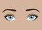 Female eyes with emotion. Look of the girl. Beautiful blue eyes with lashes and elegant eyebrows. Eyebrow tattoo. Facial