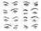 Female eyes. Glamour eye lashes woman with perfectly shaped eyebrows, drawn black model eyelashes, design for makeup