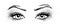 Female eyes with long black eyelashes, glitter silver eyeshadow and brows.