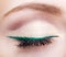 Female face makeup with closed eye and green eyeliner