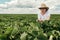 Female farmer agronomist examining soybean crops in cultivated field