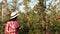 Female farmer, agronomist inspects apple harvest to avoid pests, checks the ripeness of fruit. makes notes to tablet