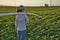 Female farmer agronomist installing tube irrigation system