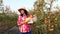 Female farmer with apples. Apple harvest. Happy woman carries a box of freshly picked apples. backdrop of apple farm