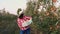 Female farmer with apples. Apple harvest. Happy woman carries a box of freshly picked apples. backdrop of apple farm