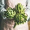 Female farmer in apron holding fresh artichokes, square crop