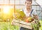 Female farmer carrying newly harvest vegetables in wooden crate