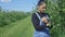 Female farmer examining apple fruit orchard