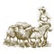 Female farmer feeds the sheep. sketch on a white background. animal husbandry