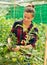 Female farmer fixing tomato plants on supporting trellis