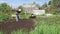 Female farmer flattens the ground with rakes