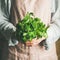 Female farmer holding bunch of fresh green mint, square crop