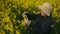 Female Farmer in Oilseed Rapeseed Cultivated Agricultural Field Examining and Controlling The Growth of Plants