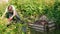 female farmer with pitchfork brings wild grass from wheelbarrow in compost put