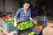 Female farmer stacking boxes with green tomatoes in farm warehouse