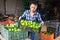 Female farmer stacking boxes with green tomatoes in farm warehouse