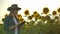 A female farmer with a tablet computer walks through a field with sunflowers and enters data into a tablet computer to