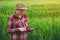 Female farmer using tablet computer in wheat crop field