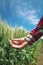 Female farmer in wheat field