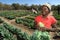 Female Farmer in Zimbabwe