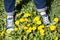 Female feet in blue jeans gumshoes standing on grass with yellow flowers at summer. Close up view