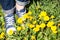 Female feet in blue jeans gumshoes walking on grass with yellow flowers at spring. Close up view