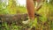 Female feet in boots step over a fallen tree in the forest.