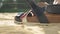 Female feet close up. Girl in orthopedic cork sandals. The girl on the beach opens up, unfastens the Velcro on her shoes