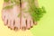 Female feet with golden nail design. Gold nail polish pedicure on yellow green background