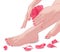 Female feet and hands with pink rose and petals