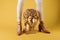 Female feet head sculptures golden color luxury yellow background