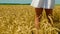 Female feet and part of white sundress waved by wind on field of golden wheat then female hand rips off ear of wheat