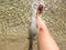 Female feet with red, coral pedicure steps into clear seawater. Vacation on the beach