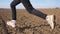 Female feet of small kid runs on the dry ground along ploughed meadow at early spring. Legs of little girl in sneakers