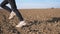 Female feet of small kid runs on the dry ground along ploughed meadow at early spring. Legs of little girl in sneakers