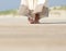 Female feet standing at the beach