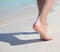 Female Feet on Tropical Sand Beach. Legs Walking.