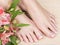 Female feet with white french pedicure on nails. at spa salon