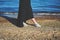 Female feet in white sneakers on sand. Walk along the beach. Woman wearing black dress. Retro toned image