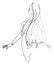 Female Figure Continuous Line Vector Graphic