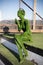 Female figure covered with artificial green grass with headphones sitting on the steps