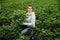 Female floriculturist checking potted hortensia