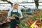 Female florist in apron with scissors working with red begonia in hothouse