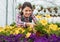 Female florist cultivating a flowers in a greenhouse