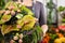 Female florist in flower shop