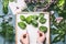 Female florist hands holding branches with green leaves on work space with flowers , white tray and blank paper