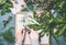 Female florist hands with scissors making floral arrangements flowers and green leaves on white tray